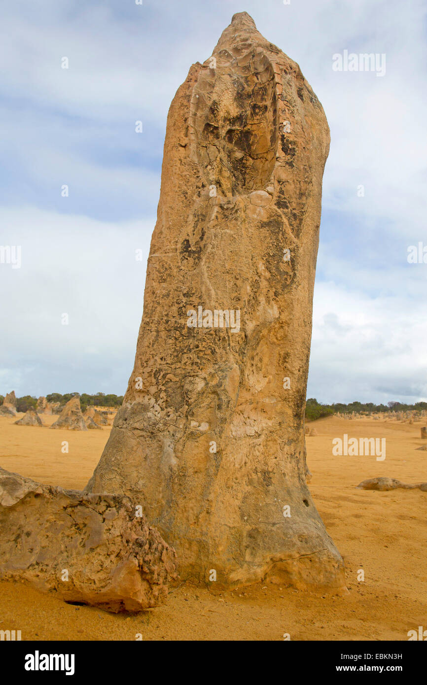 Höhepunkt im Nambung National Park, Australien, Western Australia, Nambung Nationalpark Stockfoto