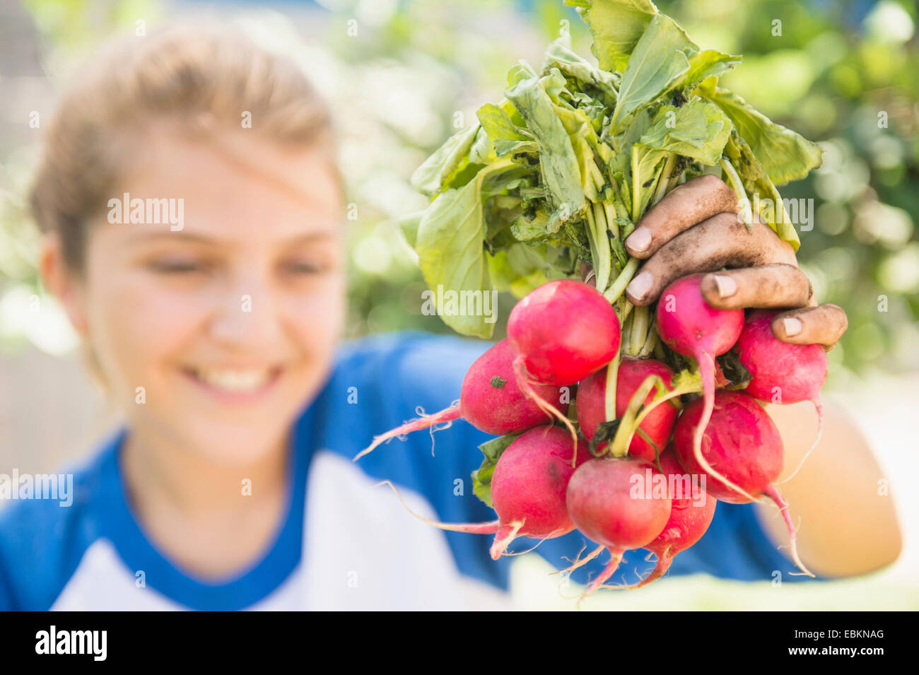 Mädchen (12-13) zeigt Bündel von Rettich Stockfoto