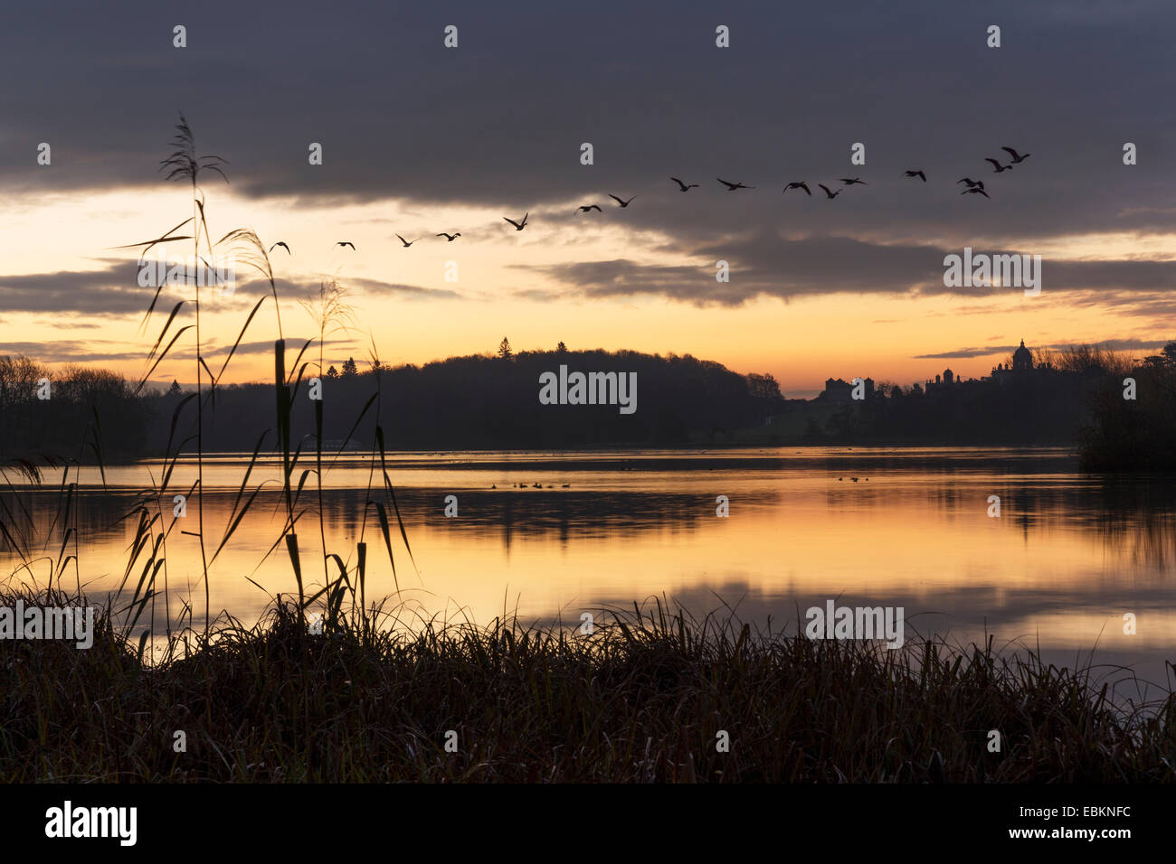 Der große See, Castle Howard, North Yorkshire im Morgengrauen im November 2014. Stockfoto