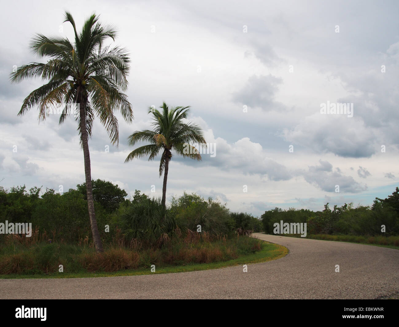 Landschaft im Lovers Key State Park, Fort Myers, Florida, USA, 6. Oktober 2014, © Katharine Andriotis Stockfoto