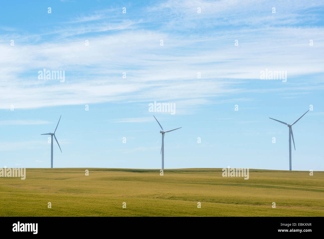 USA, Oregon, Windkraftanlagen auf der grünen Wiese Stockfoto