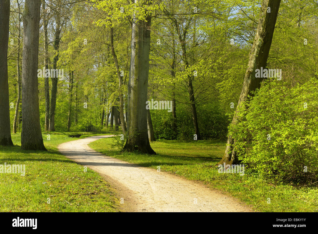 Park-Pfad im Frühjahr, Deutschland, Bayern, Aschaffenburg Stockfoto