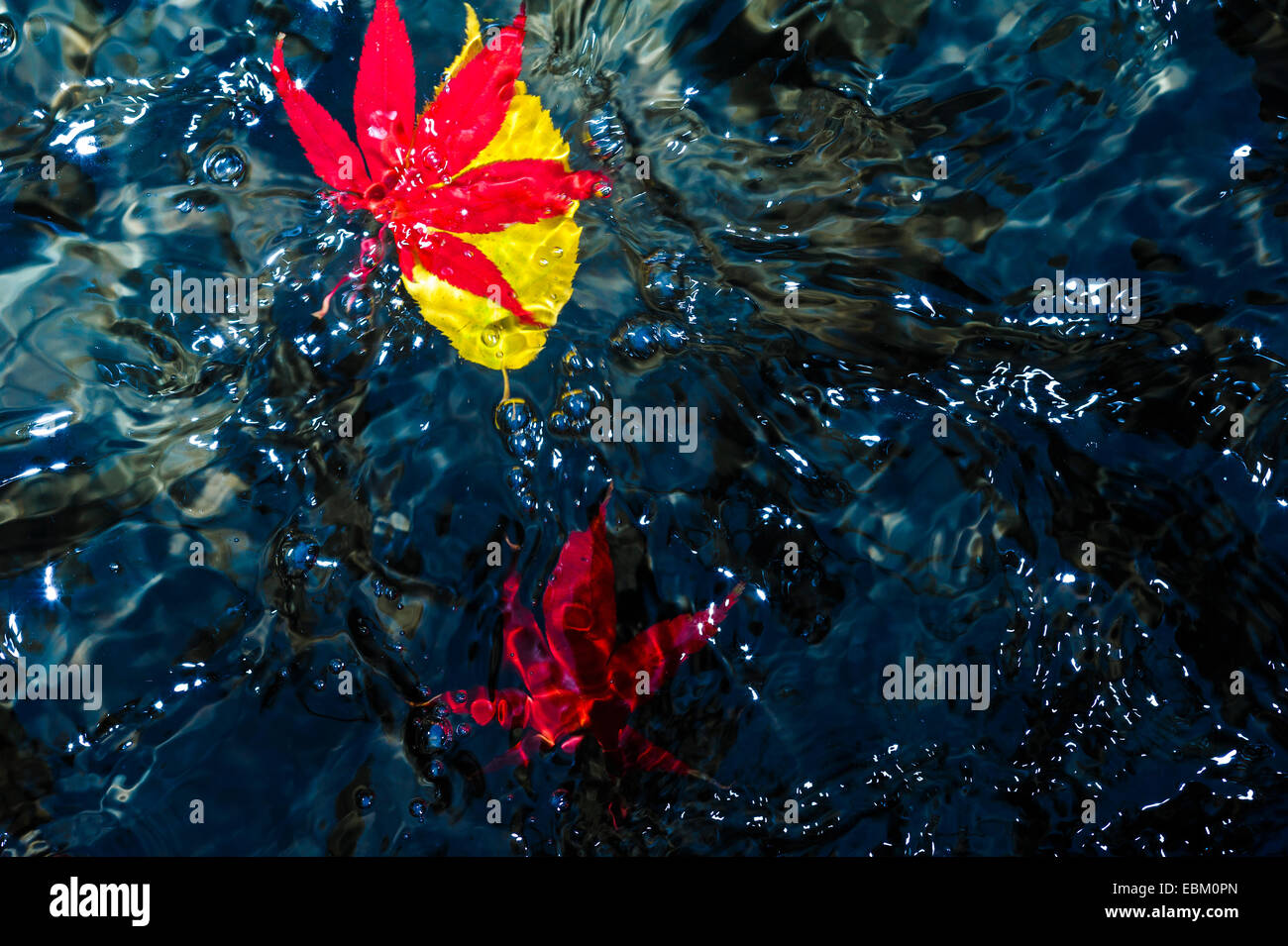 Herbstlaub im turbulenten Wasser. Stockfoto