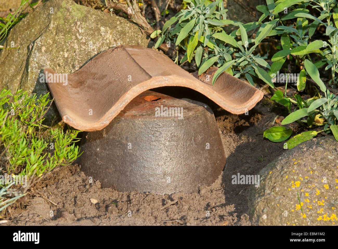 Verschachtelung Beihilfen für Hummeln im Garten, Deutschland Stockfoto