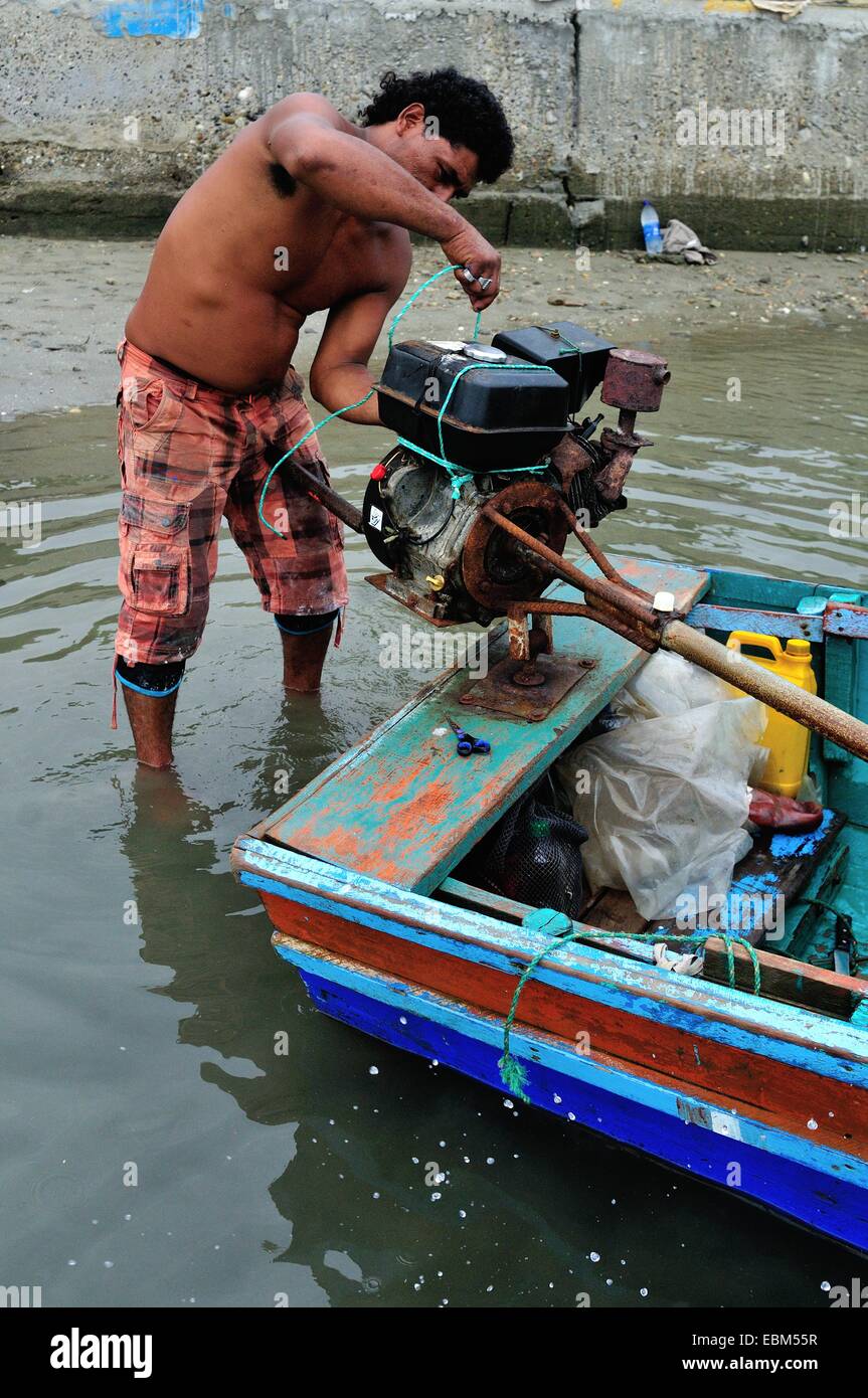 Schwarze Muscheln Picker - Mangroven in PUERTO PIZARRO. Abteilung von Tumbes. Peru Stockfoto