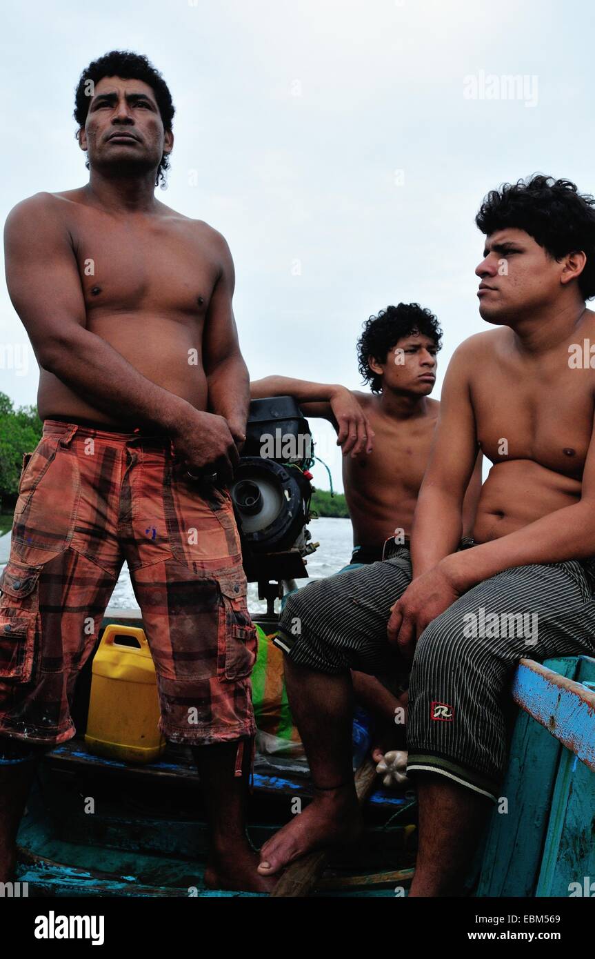 Vater und Sohn - Schalen schwarz Picker - Mangroven in PUERTO PIZARRO. Abteilung von Tumbes. Peru Stockfoto