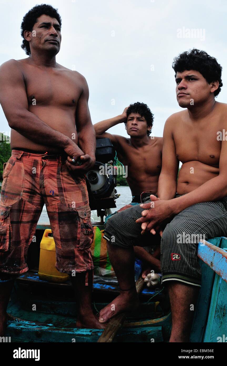 Vater und Sohn - Schalen schwarz Picker - Mangroven in PUERTO PIZARRO. Abteilung von Tumbes. Peru Stockfoto