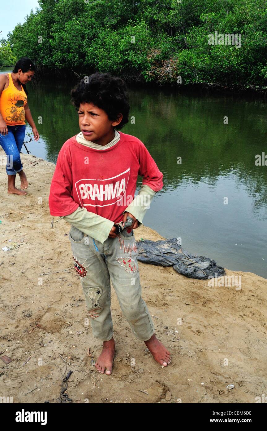 Schwarze Muscheln Picker - Mangroven in PUERTO PIZARRO. Abteilung von Tumbes. Peru Stockfoto