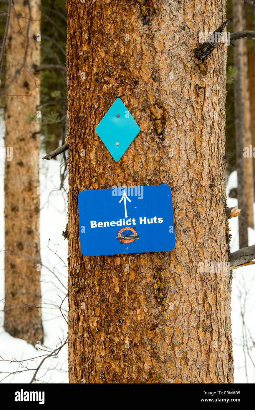 Baum-Zeichen auf Spur zu Benedikt Hütten, Schmuggler-Berg, in der Nähe von Aspen, Colorado USA Stockfoto