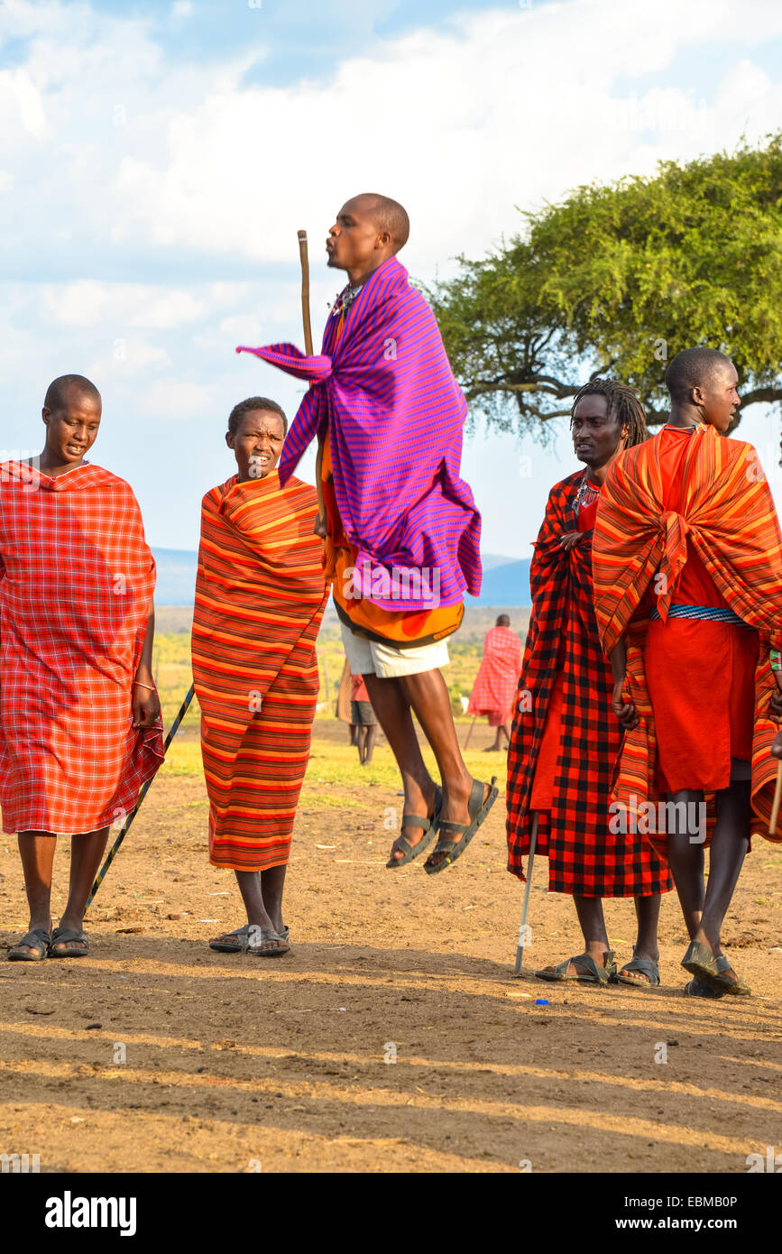 Tanz der Maasai Mara in kenia Stockfoto