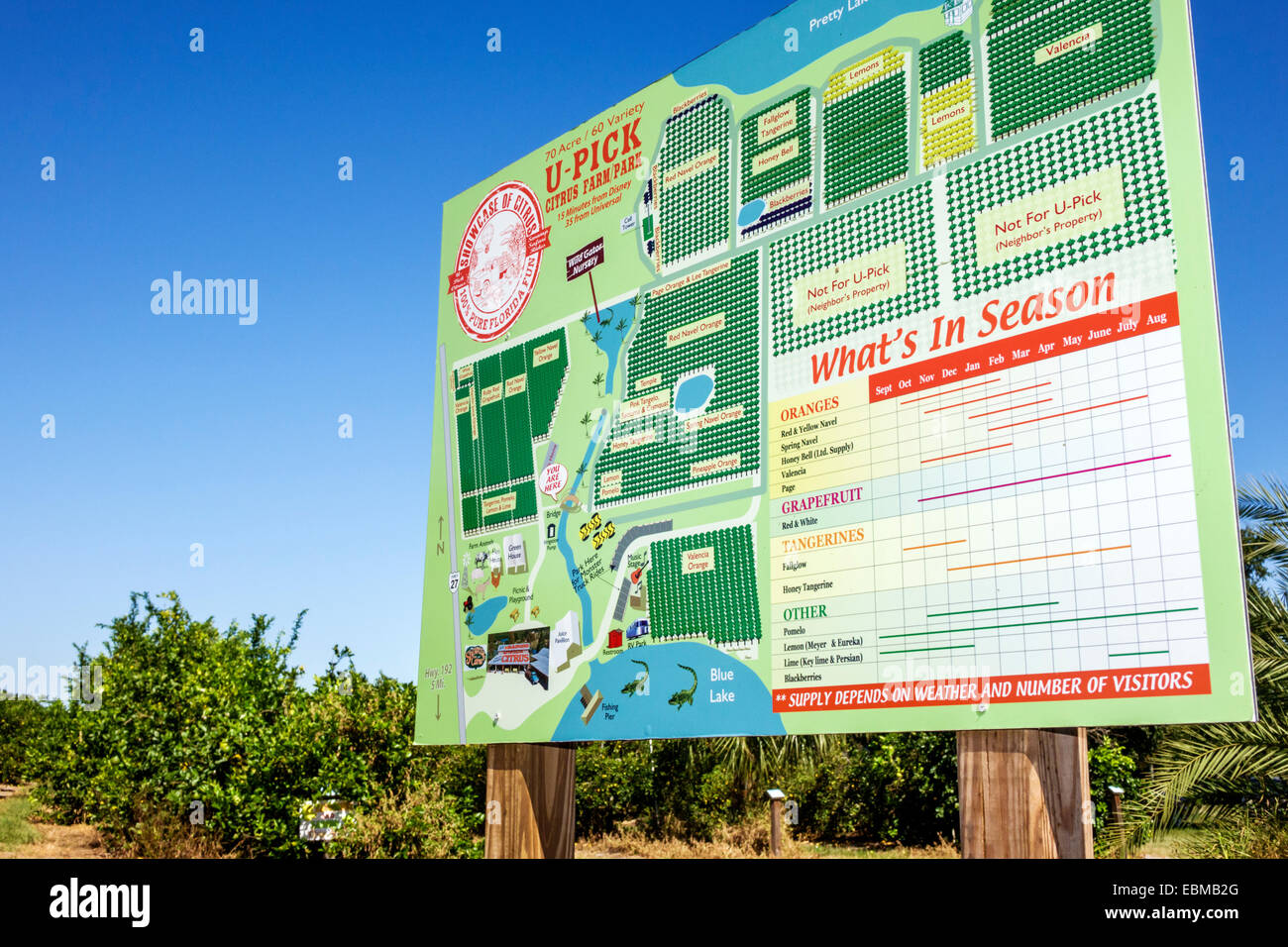 Clermont Florida, Vitrine von Citrus, Orangenhain, Mandarine, Zitrone, Limette, Pomelo, Sie wählen Ihr eigenes U-Pick, Schild, Logo, Karte, Besucher reisen Reise Tour tou Stockfoto