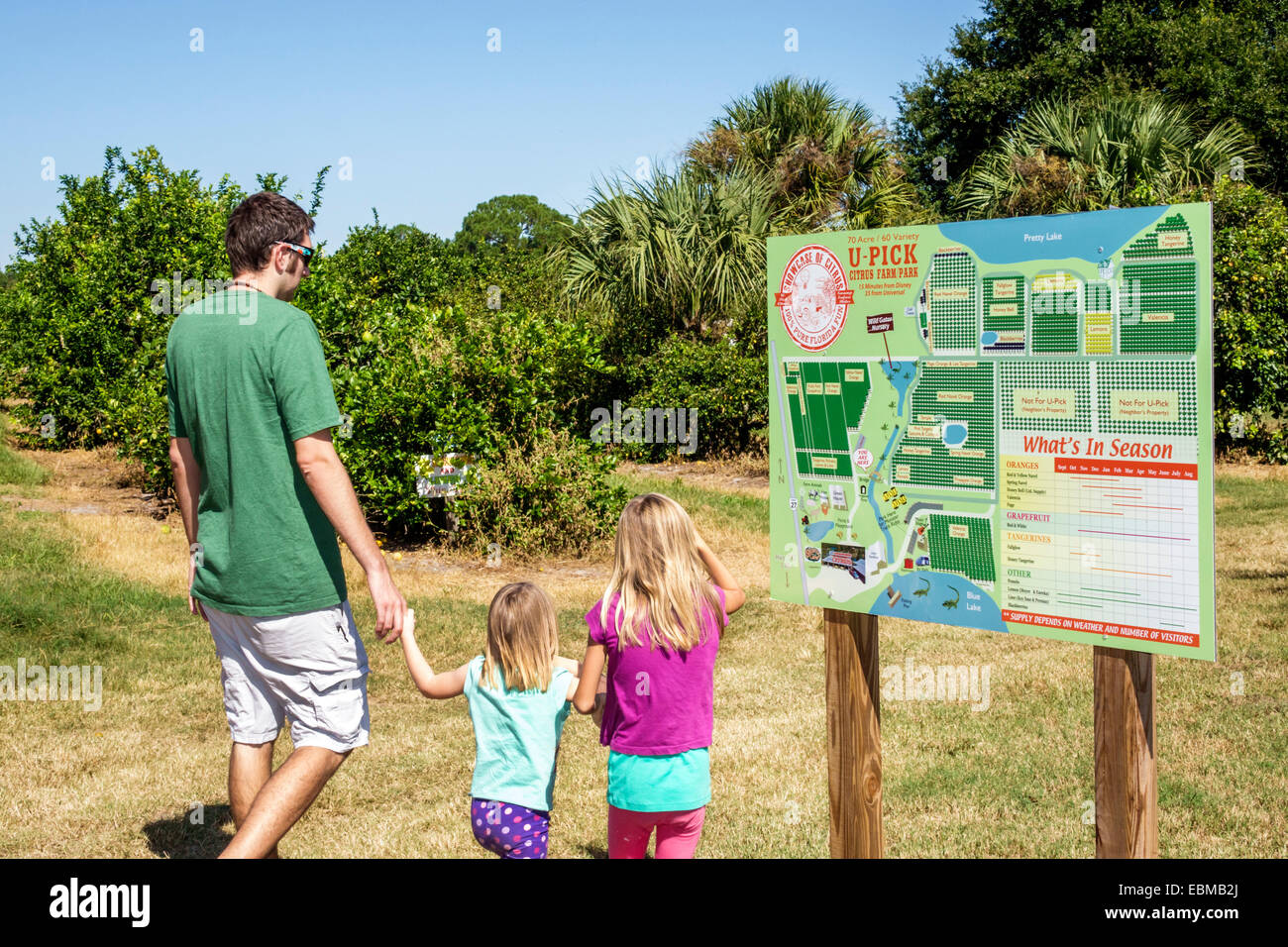 Clermont Florida, Vitrine von Citrus, Orangenhain, Mandarine, Zitrone, Limette, Pomelo, Sie wählen Ihr eigenes U-Pick, Schild, Logo, Karte, Erwachsene Erwachsene Mann Männer männlich, Vater d Stockfoto