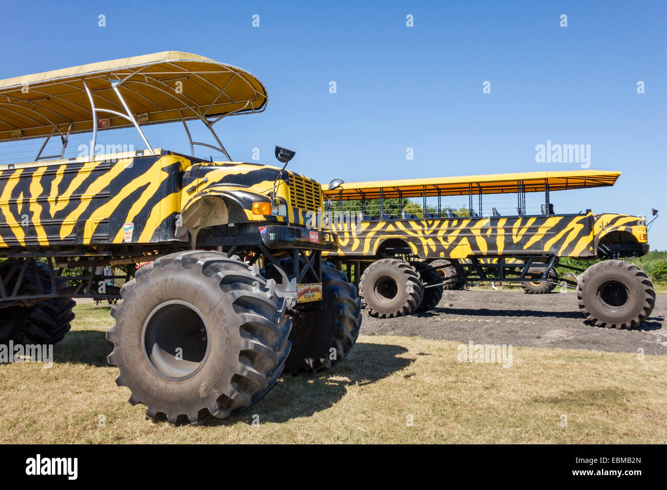 Clermont Florida, Vitrine von Citrus, Swamp Truck, großes Rad, Fahrt, Besucher reisen Reise touristischer Tourismus Wahrzeichen Kultur kulturell, vaca Stockfoto