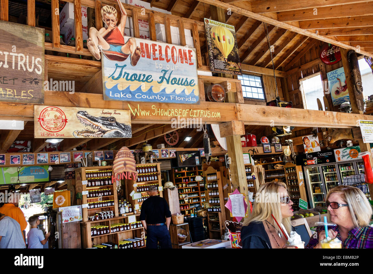 Clermont Florida, Vitrine von Citrus, Produktausstellungsverkauf, Souvenirs, Souvenirladen, Geschäft, Shopping Shopper Shopper Shop Geschäfte Markt Märkte Markt Stockfoto