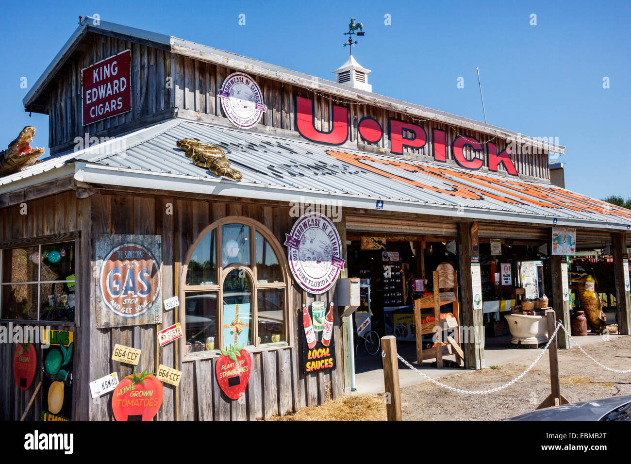 Clermont Florida, Vitrine von Citrus, Verkauf, Front, Eingang, Souvenirs, Souvenirladen, Geschäft, Shopping Shopper Shopper Shop Geschäfte Markt Märkte Marktplatz buyi Stockfoto