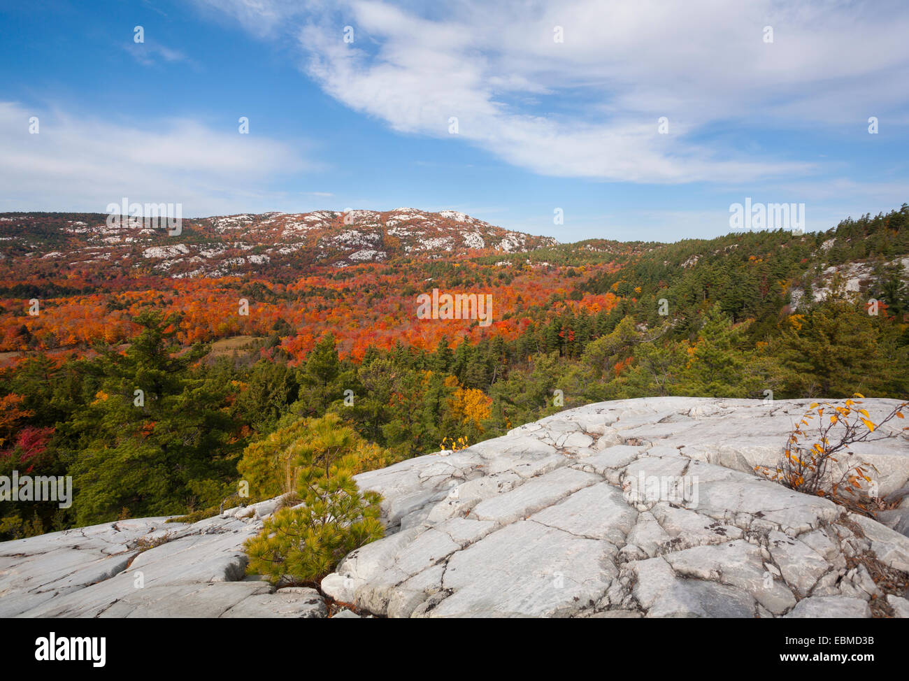 Quarzit Lefka am Gipfel Herbstfärbung im Süden La Cloche Bereich, Killarney Provincial Park, Ontario, Kanada. Stockfoto
