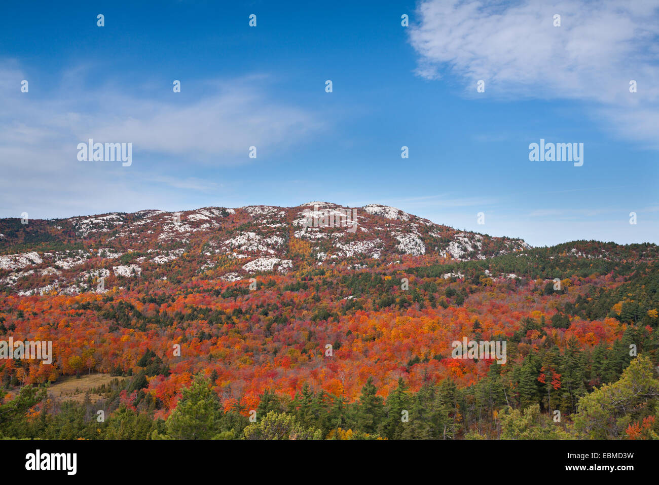 Quarzit Lefka am Gipfel Herbstfärbung im Süden La Cloche Bereich, Killarney Provincial Park, Ontario, Kanada. Stockfoto