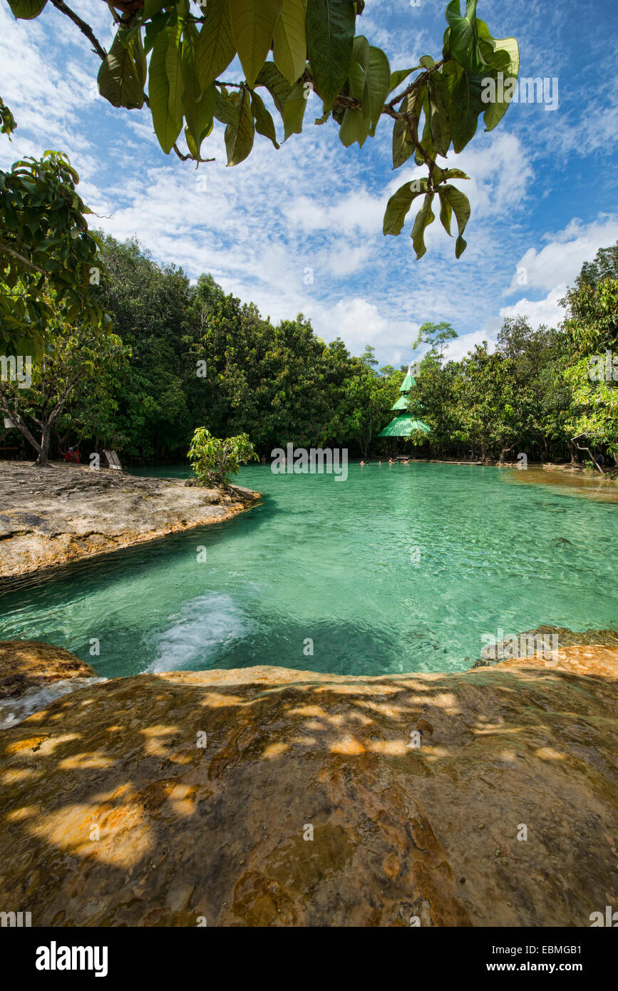 Die Sa Morakot Emerald Pool in Krabi, Thailand Stockfoto