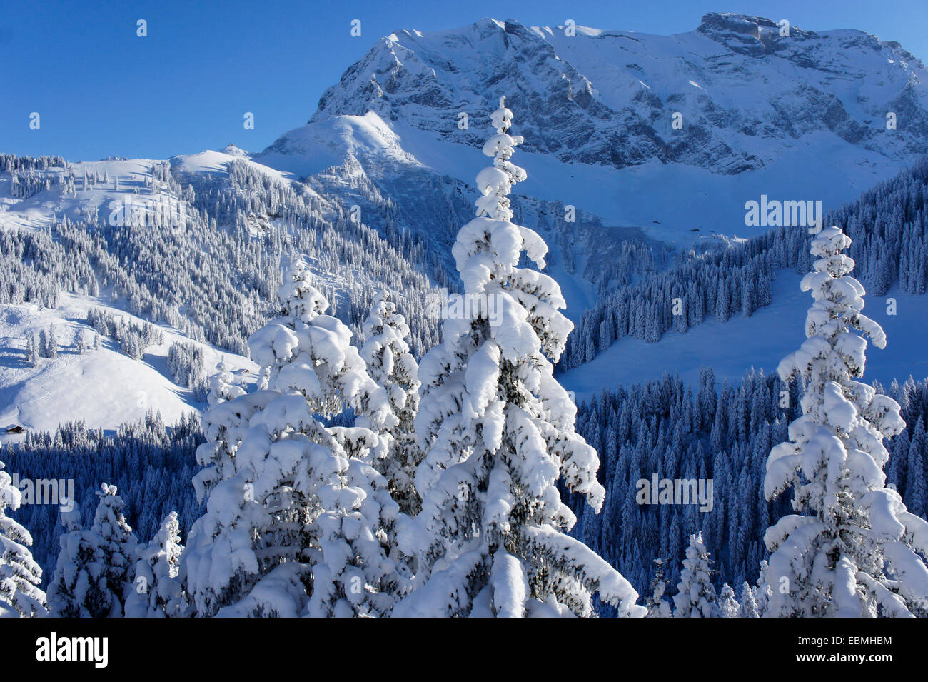 Mt. Hoher Lohner, Adelboden, Winter, Berner Alpen, Schweiz Stockfoto