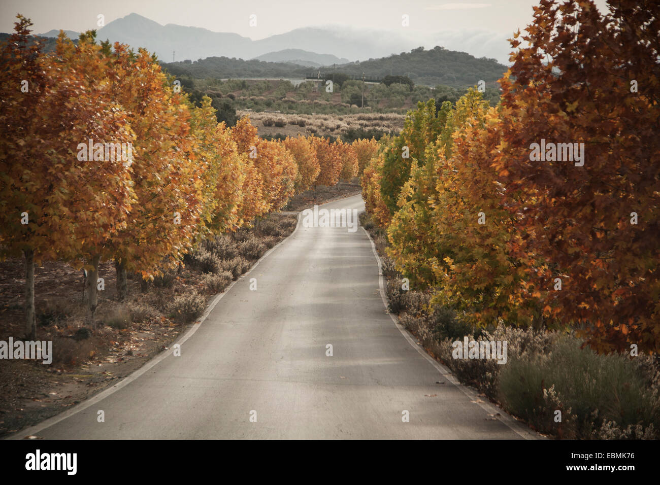 Spanien-Landschaft-Straße im Herbst Stockfoto