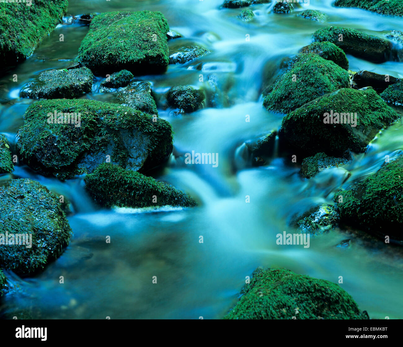 Wild Behälters River, smaragdgrünen Wasser fließt zwischen moosbewachsenen Steinen, Biosphärenreservat Vesser, Thüringen, Deutschland Stockfoto
