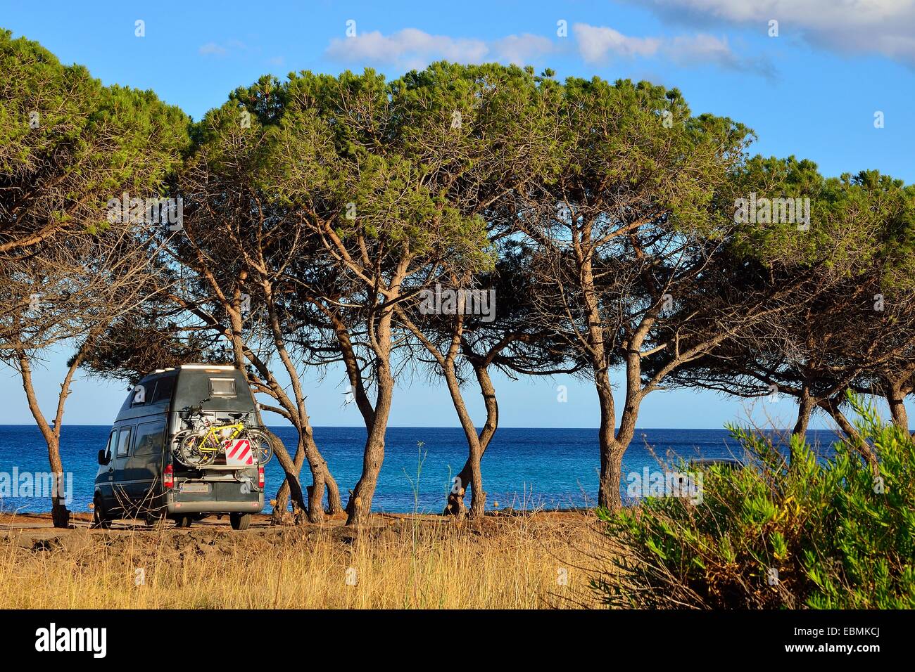 Wohnmobil zwischen Pinien am Strand, Costa Rei, Cagliari, Sardinien, Italien-Provinz Stockfoto