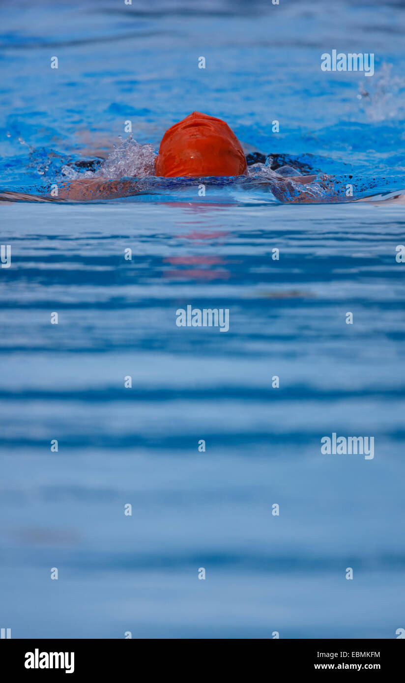 Schwimmer, Freibad, Deutschland Stockfoto