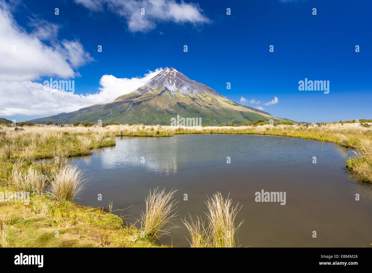 Bergsee mit dem Mount Taranaki Vulkan, Pouakai Range, Egmont Nationalpark, Taranaki Region, Neuseeland Stockfoto