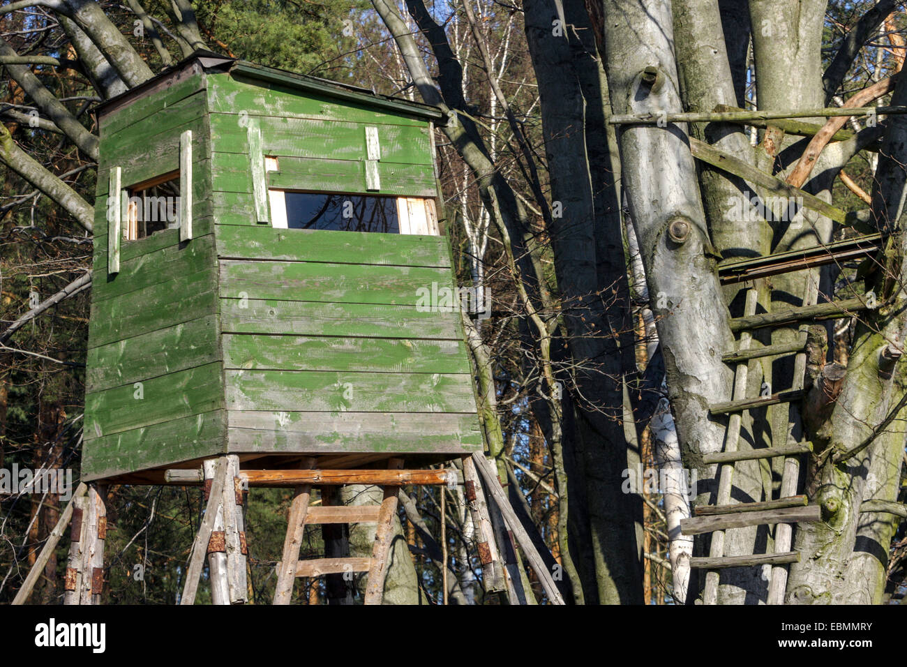 Grün Holz Jagd Sitz am Waldrand, Tschechische Republik Stockfoto