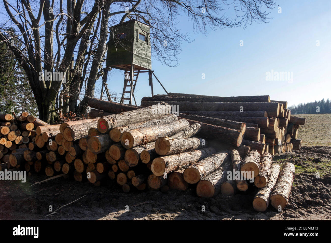Grün Holz Jagd stand in Waldrand, Tschechische Republik Stockfoto