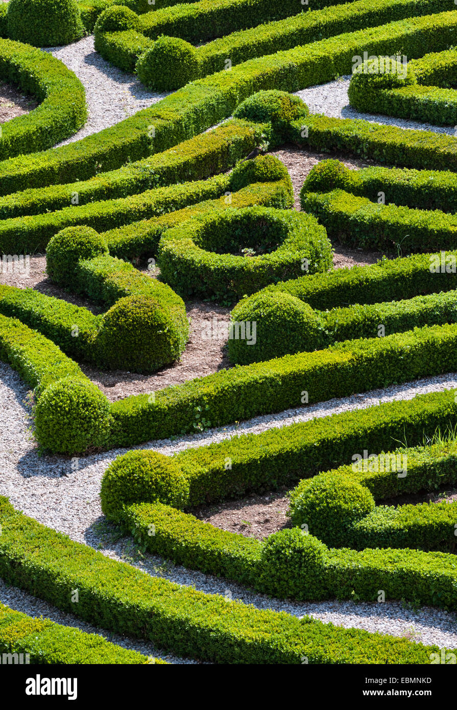 Villa Allegri Arvedi, Cuzzano, Italien. Das aufwendige barocke Muster von abgesteckten Buchshecken, die ein „Parterre de Broderie“ bilden, wurde um 1656 angelegt Stockfoto