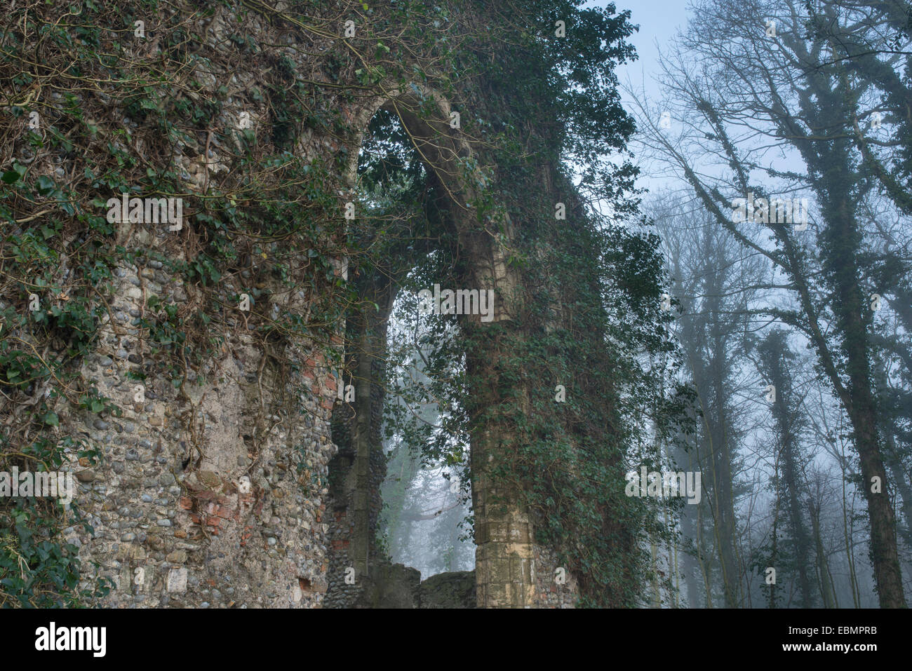 Blick von der zerstörten Kirche St Marys, East Somerton, Norfolk, England Stockfoto