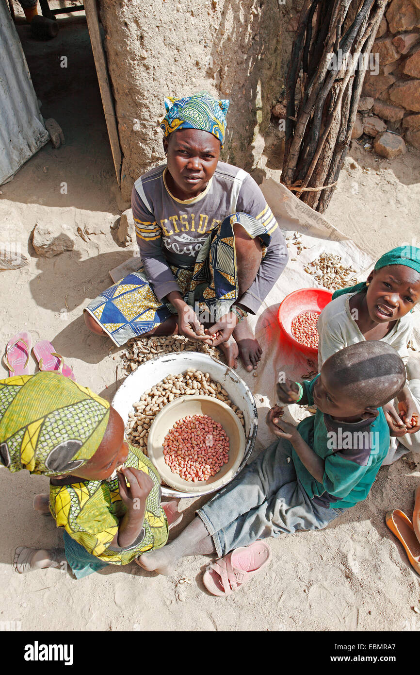 Kinder peeling Erdnüsse, Rhumsiki, Far North, Kamerun Stockfoto