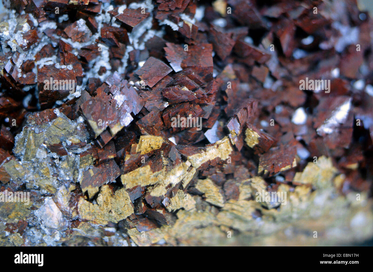 Siderit, USA, Arizona Stockfoto