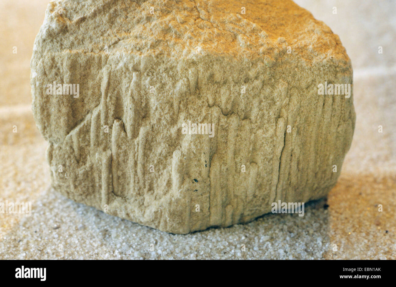 Bergaueria aus Sandstein Stockfoto