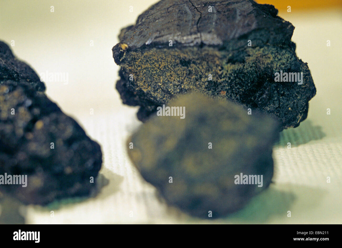 Mangan-Ablagerungen aus Tiefsee Stockfoto