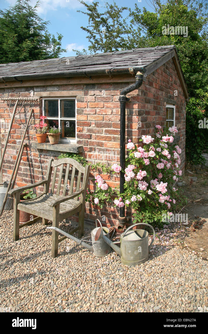 Gartenhäuschen mit Sitz und Rosen Sommer in England Stockfoto