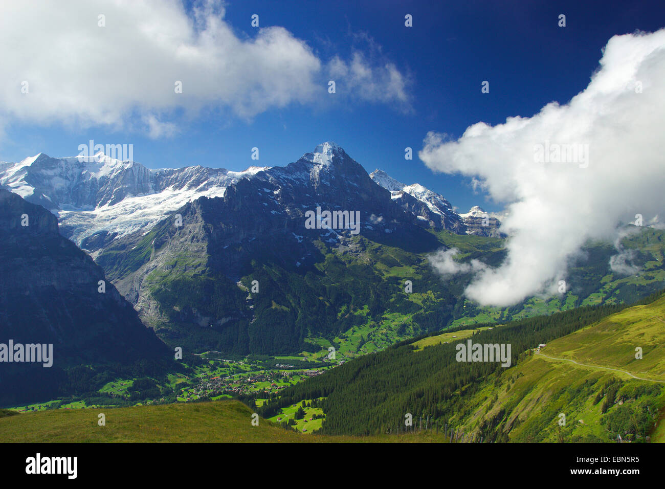 Eiger, Jungfrau, Silberhorn, Fiescherhoerner, Tschingelhorns, mit Grindelwald, von ersten, Schweiz Stockfoto