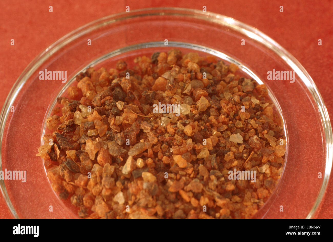 Myrrhe (Commiphora Molmol), getrockneten Baumharz Stockfoto