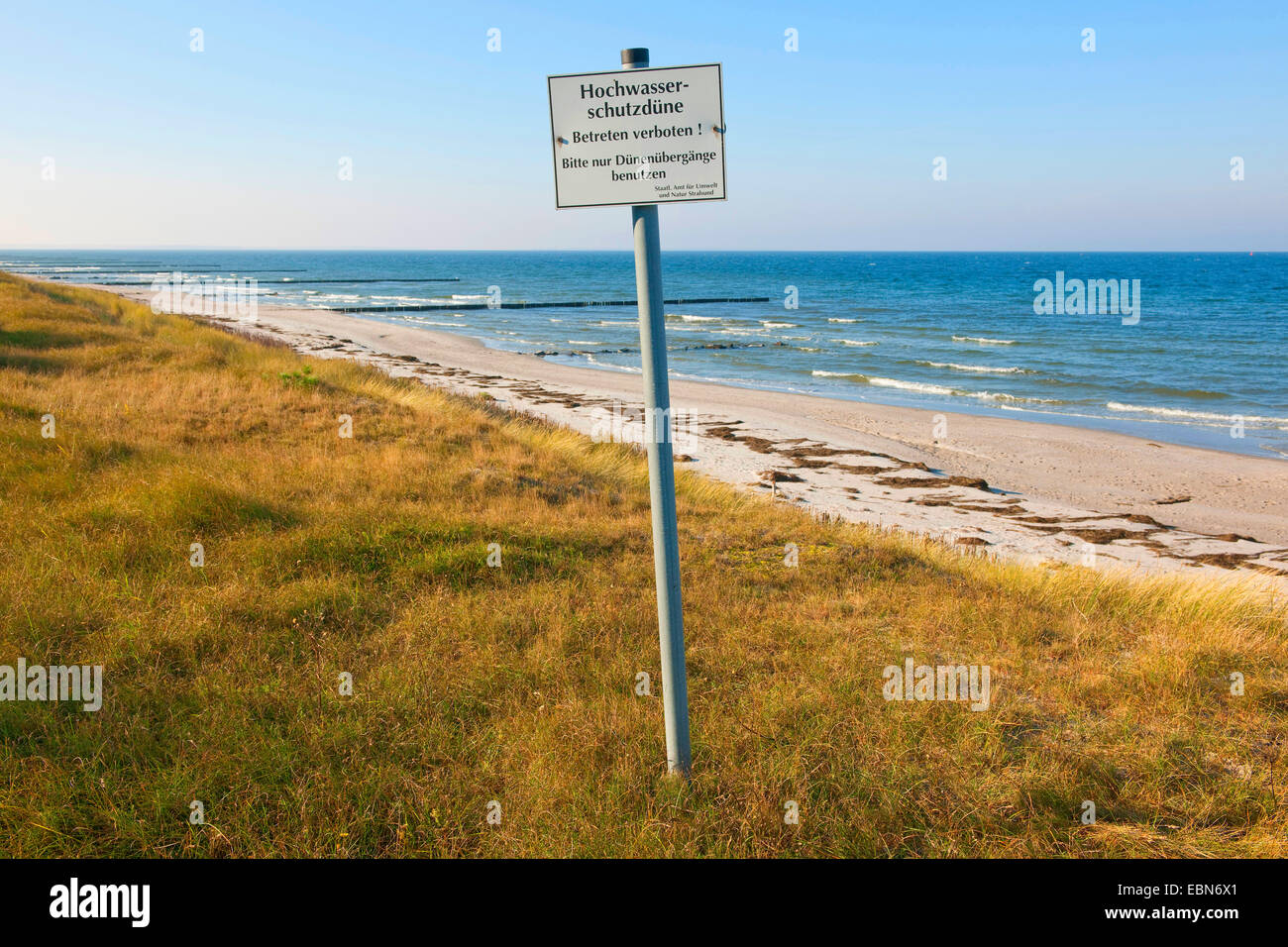 Hochwasser-Schutz-Düne, Deutschland, Hiddensee Stockfoto