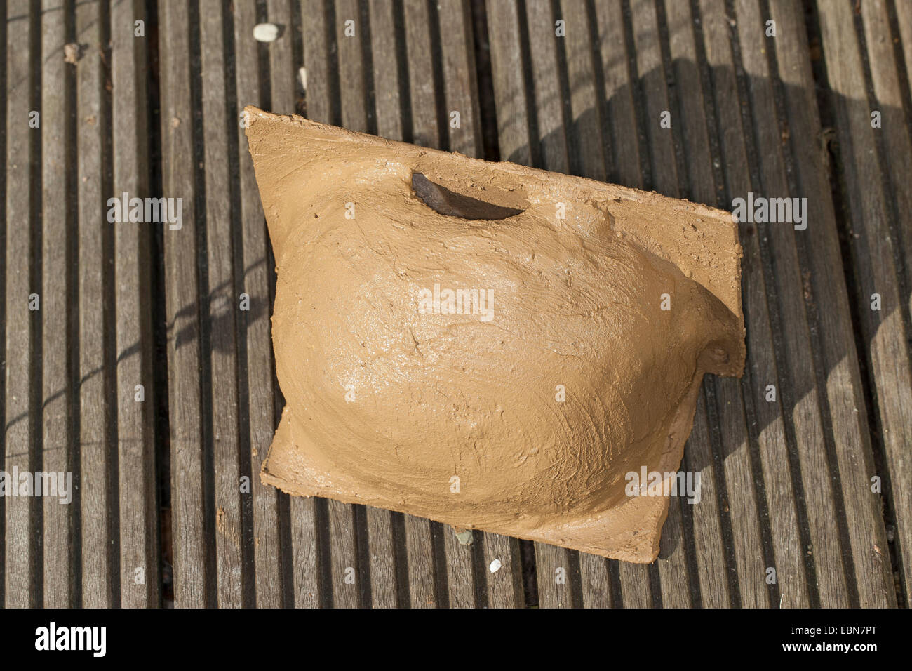 gemeinsamen Mehlschwalbe (Delichon Urbica), ist Nest Box Vor einem Haus Martin aus Lehm gebaut. Stockfoto