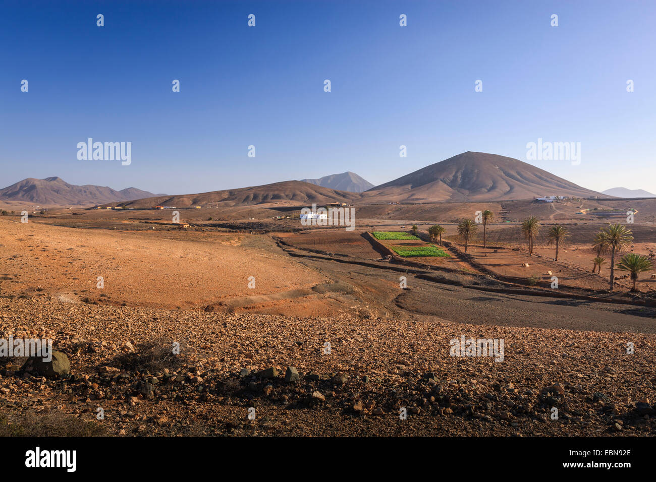 Ländliche Ansichten Fuerteventura-Kanarische Inseln-Spanien Stockfoto