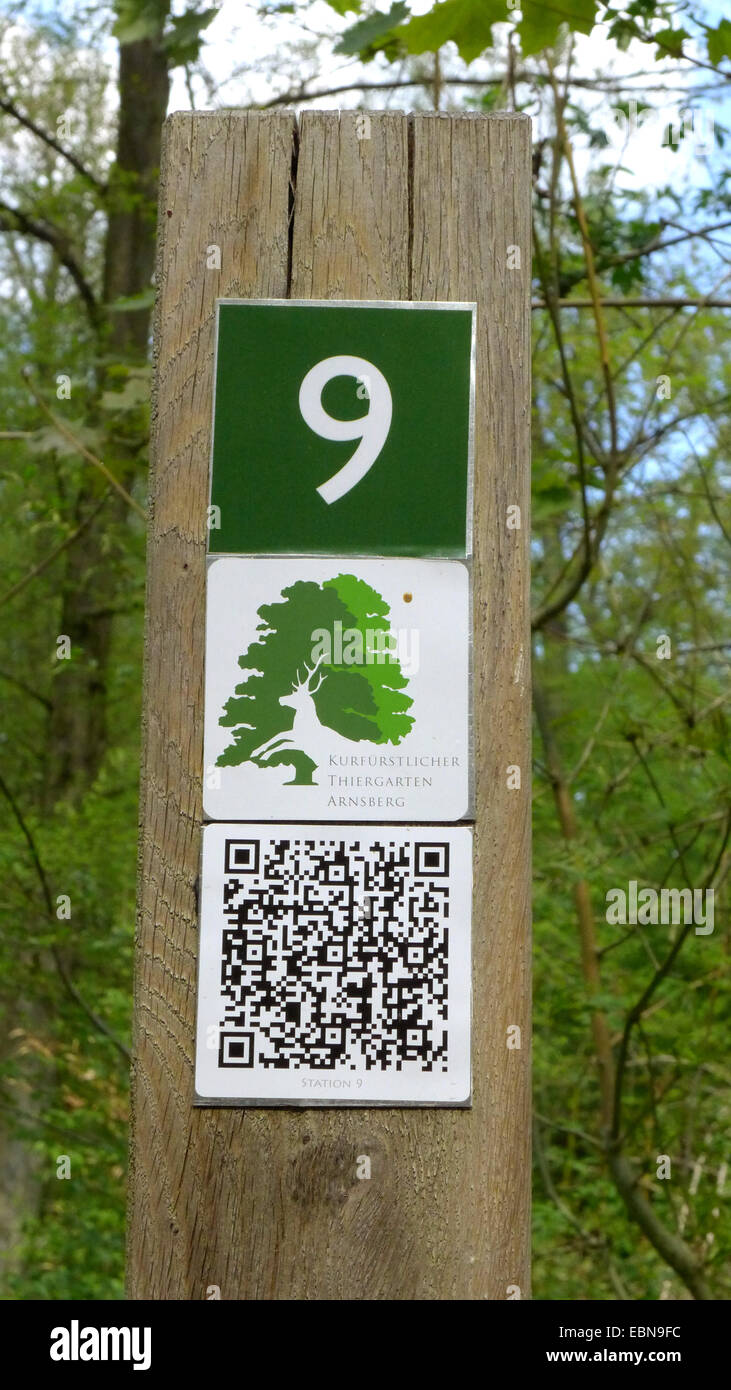 Wald-Lehrpfad, Marker post mit QR-Code, Weg Wald, Sauerland, Nordrhein-Westfalen, Deutschland Stockfoto