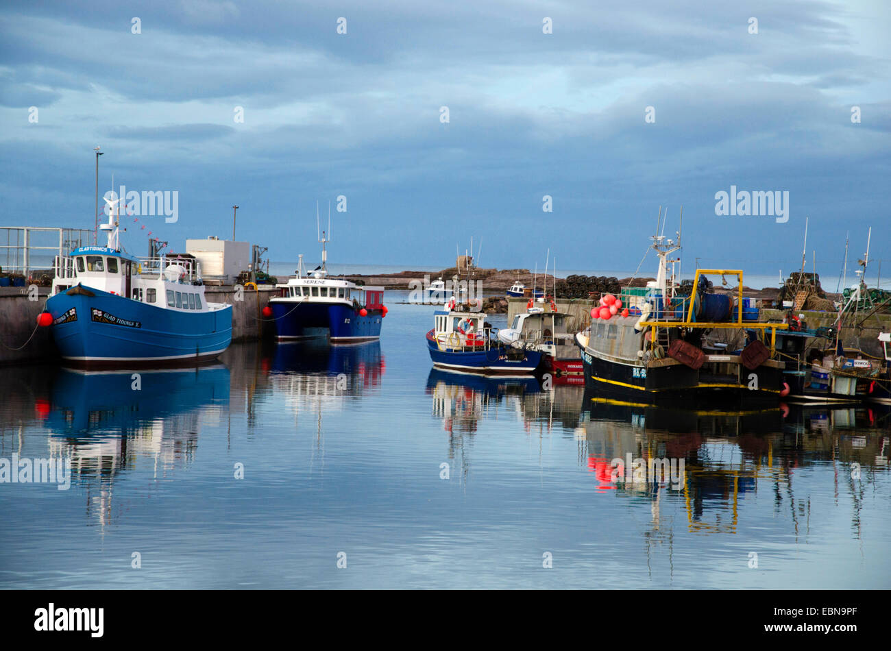 Freude, dass Boote gemeinsame Abendlicht Hafen festgemacht Farne Inseln Reisen Northumberland, England, Vereinigtes Königreich, Northumberland Stockfoto