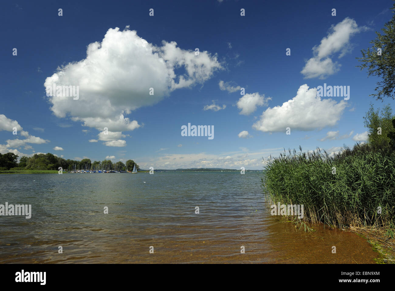 Blick auf See in der Nähe von Ueberwies-Feldwies am Südufer des Lake Chiemsee, Deutschland, Bayern, See Chiemsee, Uebersee Feldwies Stockfoto