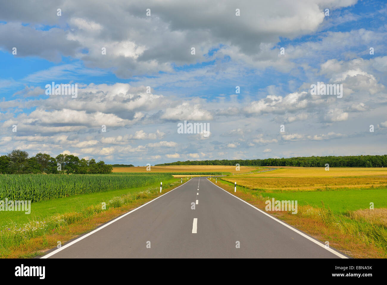 Landstraße im Sommer, Deutschland, Bayern, Franken, Franken, Stadtlauringen Stockfoto