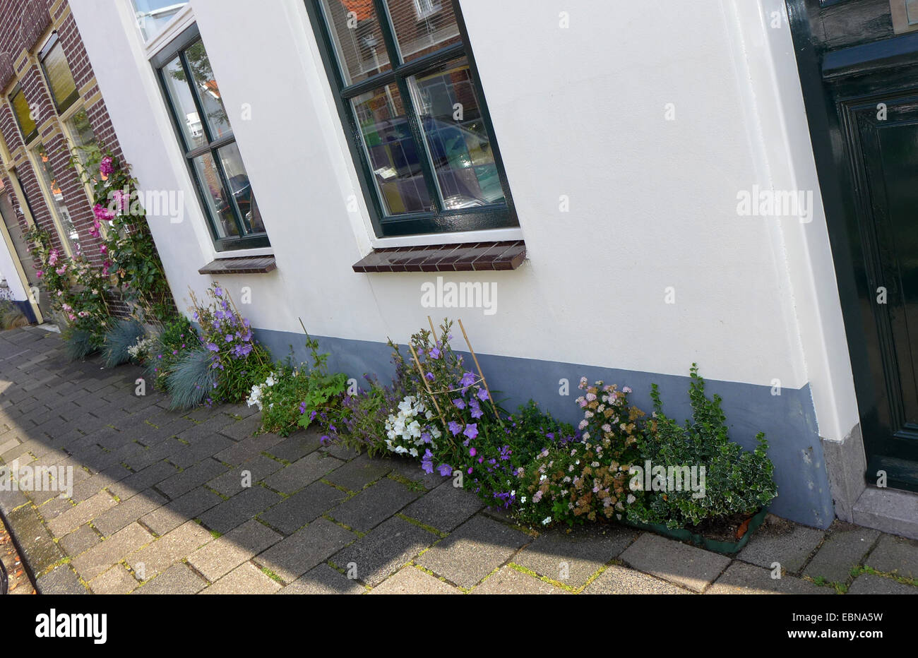 34+ Schmales Beet An Der Hauswand Bepflanzen, In 5 schritten