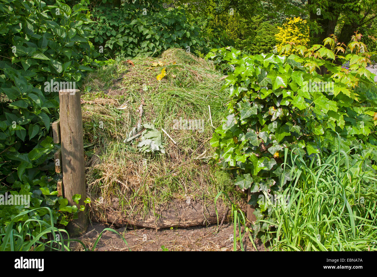 Komposthaufen, Deutschland Stockfoto