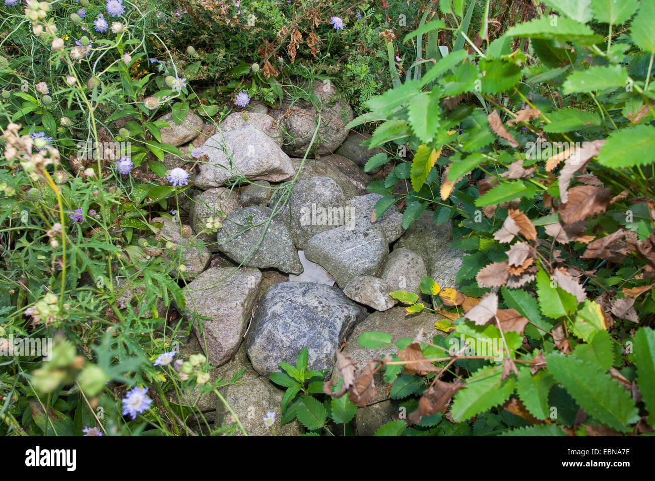 Natursteine auf einem Steinhaufen, als Unterschlupf, Lebensraum für Tiere im Garten, Deutschland Stockfoto