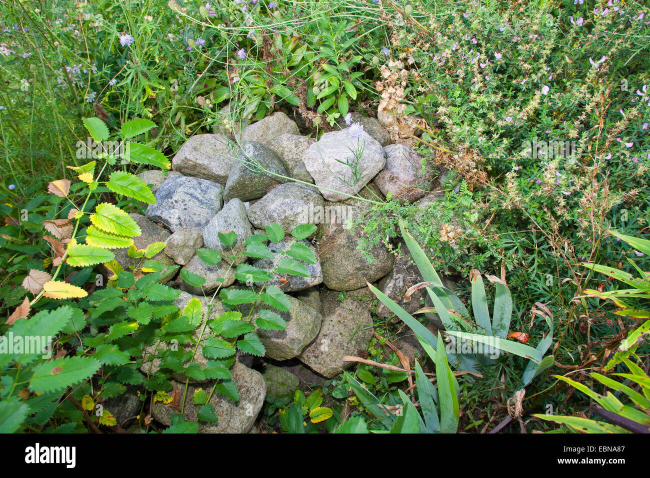 Natursteine auf einem Steinhaufen, als Unterschlupf, Lebensraum für Tiere im Garten, Deutschland Stockfoto